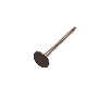 Engine Exhaust Valve